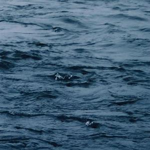 黄色片观看视频
